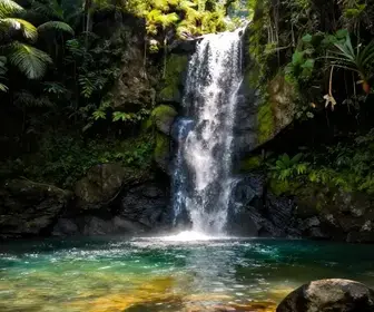 Cachoeira da Fortuna: Um Refúgio Natural em Macaé - RJ