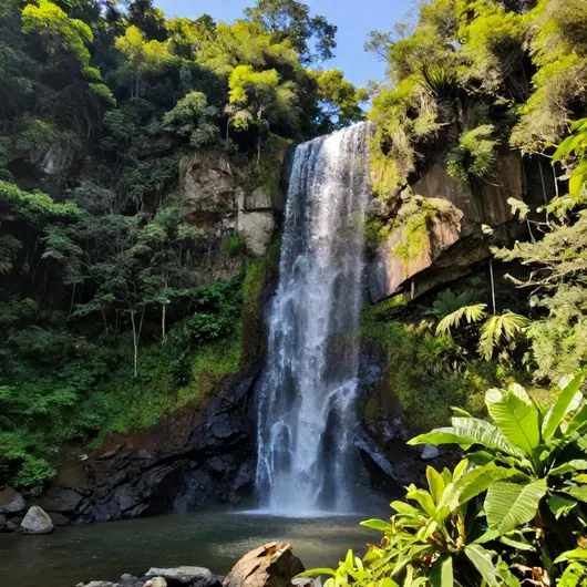 Cachoeira do Pai: Um Refúgio Natural em Macaé Cachoeira do Pai: Um Refúgio Natural em Macaé