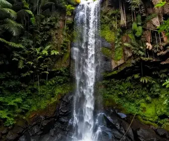 Cachoeiras em Macaé: Descubra as Melhores Opções para sua Aventura