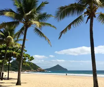 Descubra a Balneabilidade das Praias de Macaé
