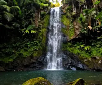 Descubra a Beleza da Cachoeira do Salto em Macaé - RJ