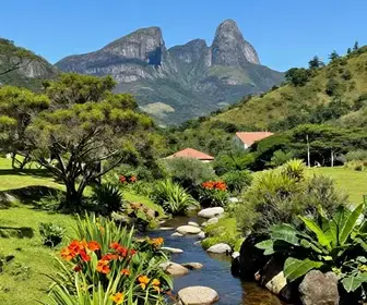Descubra a Bicuda Pequena em Macaé: Um Desenho Natural Impressionante