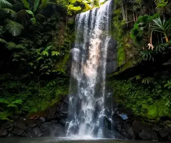 Descubra a Encanto da Cachoeira do Arranchadouro em Macaé