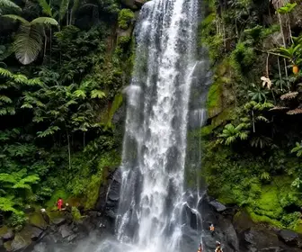 Descubra as Incríveis Cachoeiras de Macaé: Um Roteiro Imperdível Descubra as Incríveis Cachoeiras de Macaé: Um Roteiro Imperdível