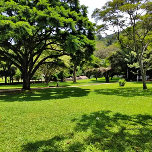 Descubra o Parque Natural Municipal Fazenda Atalaia