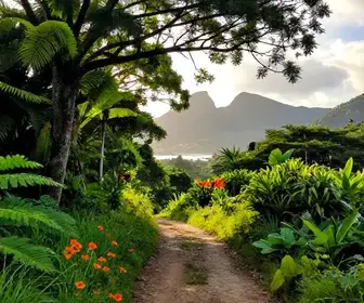 Descubra Trilhas Fáceis em Macaé para Aproveitar a Natureza
