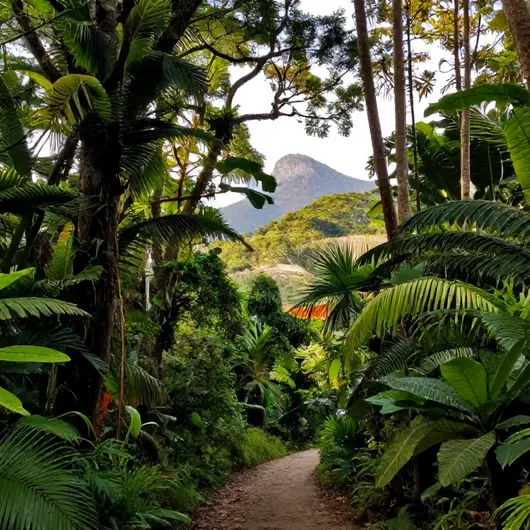 Ecological Tours Macaé