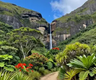 Explore a Beleza da Serra Macaense: Um Roteiro Imperdível Explore a Beleza da Serra Macaense: Um Roteiro Imperdível