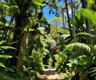 Explore a Reserva Biológica União em Macaé - RJ