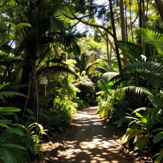Trilha Parque Atalaia Macaé: Sua Aventura na Natureza